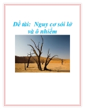 Đề tài:  Nguy cơ sói lở và ô nhiềm