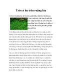 Trừ cỏ bợ trên ruộng lúa