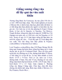 Giống xương rồng vừa để lấy quả ăn vừa xuất khẩu