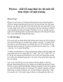 Phytase - chất bổ sung thức ăn vật nuôi rất thân thiện với môi trường