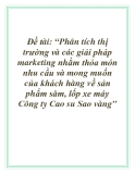 Đề tài: “Phân tích thị trường và các giải pháp marketing nhằm thỏa món nhu cầu và mong muốn của khách hàng về sản phẩm săm, lốp xe máy Công ty Cao su Sao vàng”