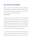 Sức vươn cây chè ở Hạ Hoà