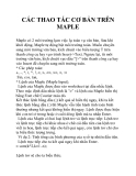 CÁC THAO TÁC CƠ BẢN TRÊN MAPLE