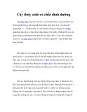 Cây thủy sinh và chất dinh dưỡng