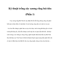 Kỹ thuật trồng cây xương rồng bát tiên (Phần 1)