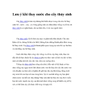 Lưu ý khi thay nước cho cây thủy sinh