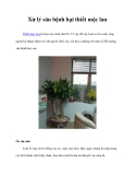 Xử lý sâu bệnh hại thiết mộc lan