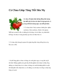 Cà Chua Giúp Tăng Tiết Sữa Mẹ