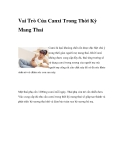 Vai Trò Của Canxi Trong Thời Kỳ Mang Thai