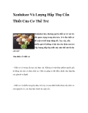 Xenlulozơ Và Lượng Hấp Thụ Cần Thiết Của Cơ Thể Trẻ