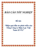 Báo cáo: Hiệu quả đầu tư phát triển của Tổng Công ty Điện Lực Việt Nam (EVN)