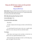 Bảng cân đối kế toán và báo cáo kết quả kinh doanh(phần 2)