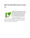 Bốn Loại Thực Phẩm Giảm Sẹo Trứng Cá