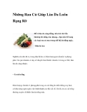 Những Rau Củ Giúp Làn Da Luôn Rạng Rỡ
