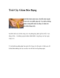 Trái Cây Ăn Giảm Béo Bụng