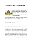 5 Bài Thuốc Chữa Chảy Máu Cam