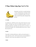 5 Thực Phẩm Giúp Bạn Vui Và Trẻ