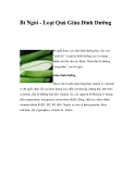 Bí Ngòi - Loại Quả Giàu Dinh Dưỡng