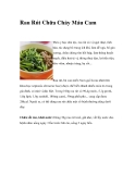 Rau Rút Chữa Chảy Máu Cam