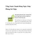 Uống Nước Chanh Hàng Ngày Giúp Phòng Sỏi Thận