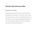 Sâu đục thân bướm 