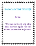 Đề tài: Các nguồn vốn và khả năng khai thác các nguồn vốn cho đầu tư phát triển ở Việt Nam