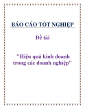 Đề tài: Hiệu quả kinh doanh trong các doanh nghiệp