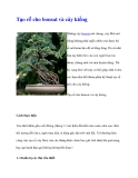 Tạo rễ cho bonsai và cây kiểng