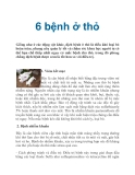 6 bệnh ở thỏ