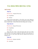 Các nhóm thiên địch bảo vệ lúa