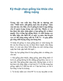 Kỹ thuật chọn giống lúa khỏe cho đồng ruộng