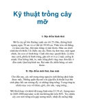 Kỹ thuật trồng cây mỡ