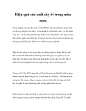Hiệu quả sản xuất cây ớt trong mùa mưa