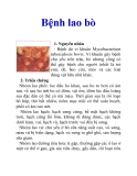 Bệnh lao bò