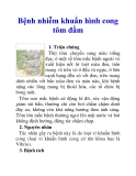 Bệnh nhiễm khuẩn hình cong tôm đầm