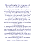Biện pháp khắc phục hiện tượng rụng quả, khô cành khô quả trên cà phê Catimor