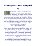 Kinh nghiệm cho ra măng trái vụ