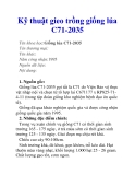 Kỹ thuật gieo trồng giống lúa C71-2035