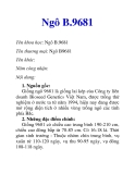 Ngô B.9681