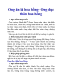 Ong ăn lá hoa hồng- Ong đục thân hoa hồng