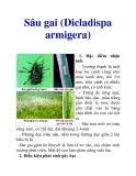 Sâu gai (Dicladispa armigera)