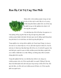 Rau Họ Cải Trị Ung Thư Phổi