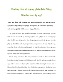 Hướng dẫn sử dụng phân bón Sông Gianh cho cây ngô
