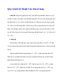 Quy trình kỹ thuật Cây khoai lang