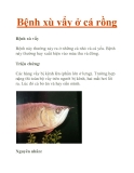Bệnh xù vẩy ở cá rồng