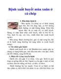 Bệnh xuất huyết mùa xuân ở cá chép