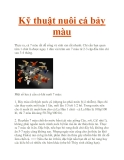 Kỹ thuật nuôi cá bảy màu