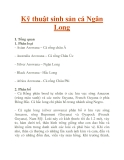 Kỹ thuật sinh sản cá Ngân Long