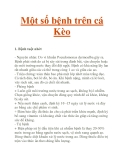 Một số bệnh trên cá Kèo