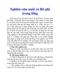Nghiên cứu nuôi cá Rô phi trong lồng